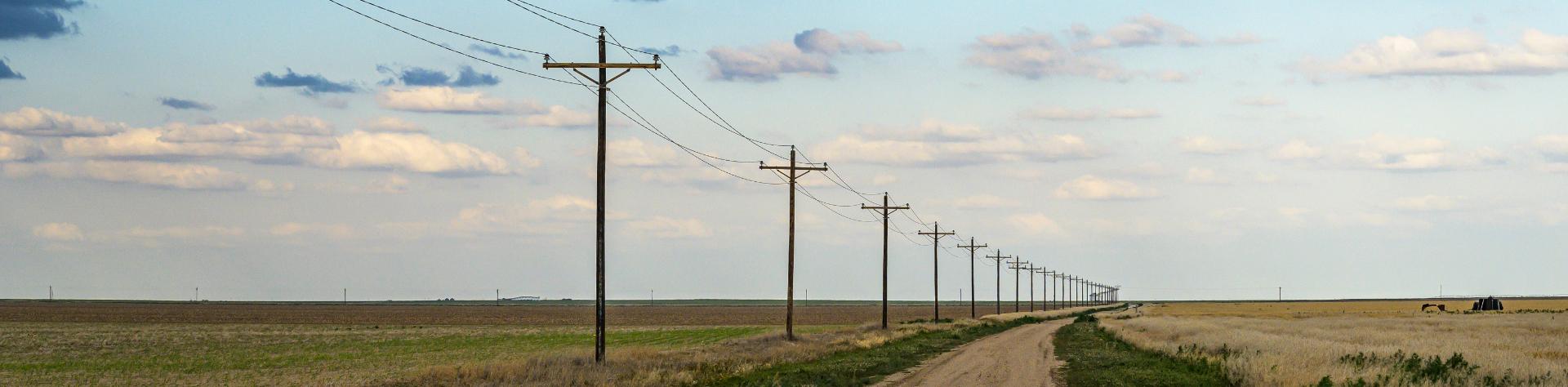 Telephone poles in rural area