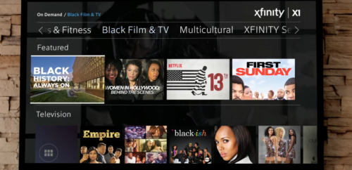 diversity programming on premium television