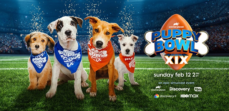 Animal Planet's Puppy Bowl Places Rescue Pups in FURever Homes | NCTA — The  Internet & Television Association