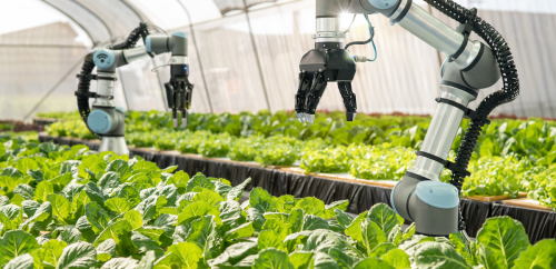 The 10G Future: Agriculture