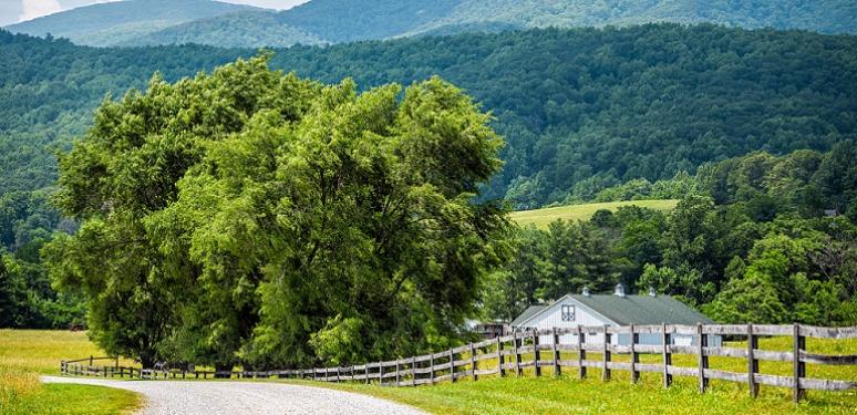 rural VA