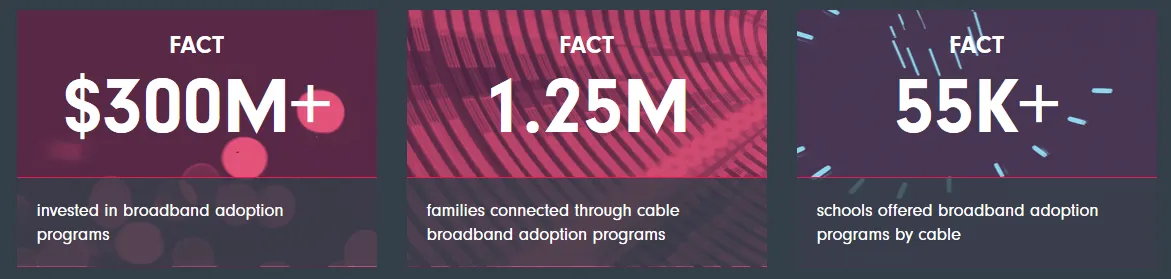 digital divide facts