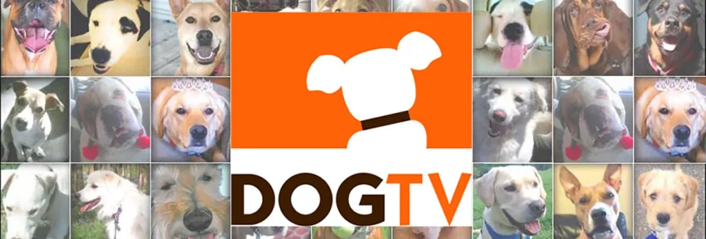 dogtv